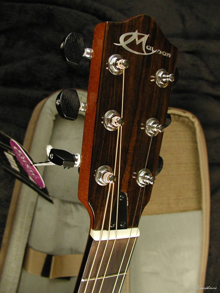 PS-300 (Mayson Guitars)